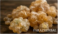 Asafoetida photo 3