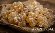 Asafoetida photo 5